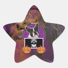 Halloween - Just a Lil Spooky - Boston Terrier Star Sticker