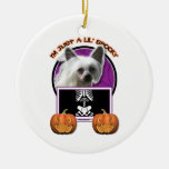 Halloween - Just a Lil Spooky - Chinese Crested Ornaments