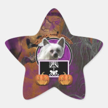 Halloween - Just a Lil Spooky - Chinese Crested Star Stickers