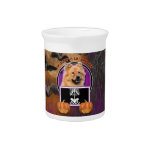 Halloween - Just a Lil Spooky - Chow Chow - Cinny Pitcher