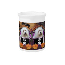 Halloween - Just a Lil Spooky - Coton de Tulear Drink Pitchers