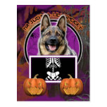 Halloween - Just a Lil Spooky - German Shepherd Post Cards