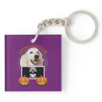 Halloween - Just a Lil Spooky - Golden Retriever Acrylic Key Chains