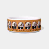 Halloween - Just a Lil Spooky - Golden Retriever Cat Bowl