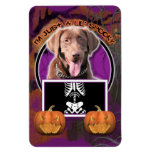 Halloween - Just a Lil Spooky - Labrador - Chocola Magnet