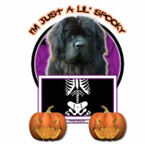 Halloween - Just a Lil Spooky - Newfoundland Cut Outs