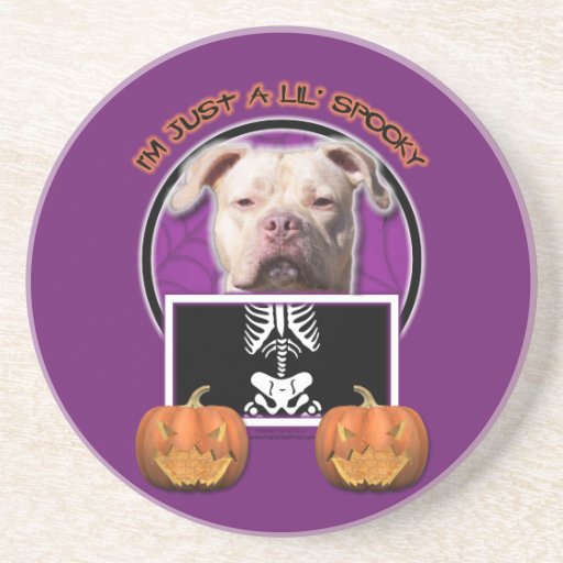 Halloween - Just a Lil Spooky - Pitbull JerseyGirl Beverage Coaster