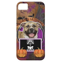 Halloween - Just a Lil Spooky - Pitbull - Tigger iPhone 5 Cover