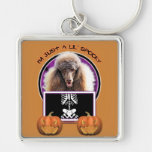 Halloween - Just a Lil Spooky - Poodle - Chocolate Key Chain