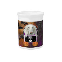 Halloween - Just a Lil Spooky - Saluki Beverage Pitchers