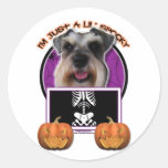 Halloween - Just a Lil Spooky - Schnauzer Round Sticker