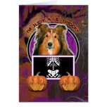 Halloween - Just a Lil Spooky - Sheltie Greeting Cards