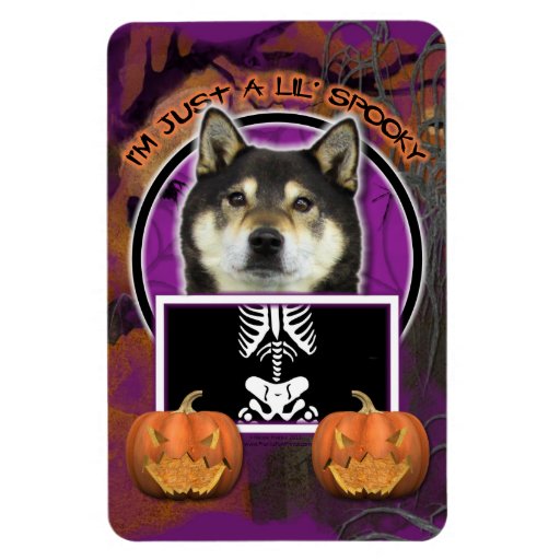 Halloween - Just a Lil Spooky - Shiba Inu - Yasha Vinyl Magnets