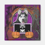 Halloween - Just a Lil Spooky - Siberian Husky Magnets