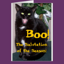 Halloween Kitty - Boo cards