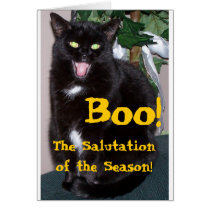 Halloween Kitty - Boo cards by OurEnchantedGarden Halloween Kitty - Boo cards