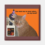 Halloween Kitty - Wear What Magnet