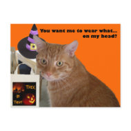 Halloween Kitty - Wear What postcard