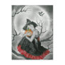halloween night  witch postcard