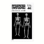 Halloween or Day of the Dead Party Invitation postage