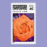 Halloween Orange Rose Postage stamps