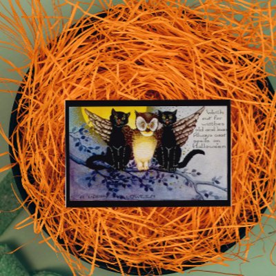Halloween Owl and Black Cats cards