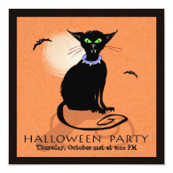 Halloween Party Invitation - Black Cat - Square