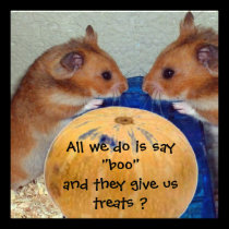 Halloween Party invitations