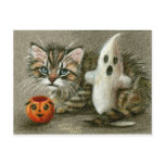 Halloween Postcard Cat Kitten Ghost Pumpkin Art