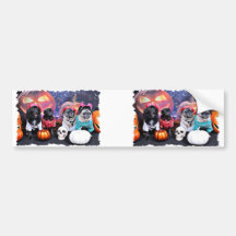 Halloween - Pug and PomX - Bruno Pearl Bear Bumper Sticker