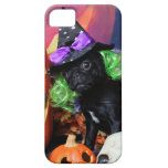 Halloween - Pug - Daisy Mae iPhone 5 Covers