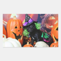 Halloween - Pug - Daisy Mae Rectangular Sticker