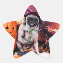 Halloween - Pug - Lily Lou Star Sticker