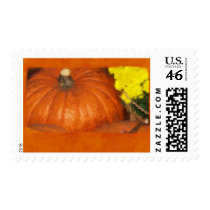 Halloween Pumpkins 1 stamps