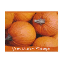Halloween Pumpkins 3 postcards