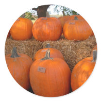Halloween Pumpkins stickers