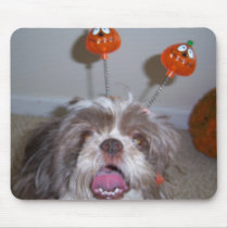 Halloween Shih Tzu Mousepad mousepads