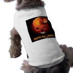 Halloween Skull and Pumpkin Pet Clothing