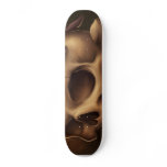 Halloween Skull Deck Custom Skateboard