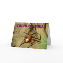 Halloween Spider Card