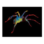 Halloween spider scary creepy crawly cards postcard