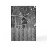 Halloween-Spider Web Cards