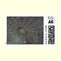 Halloween Spider Web Postage postage by estjohn Halloween Spider Web Postage postage