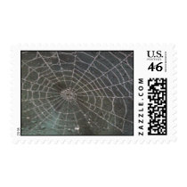 Halloween Spider Web Postage