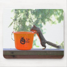 Halloween Squirrel Mouse Pads