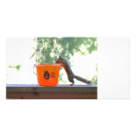 Halloween Squirrel Photo Greeting Card