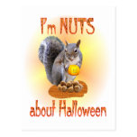 Halloween Squirrel Post Card