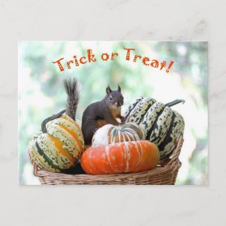 Halloween Squirrel Post Card