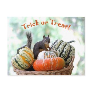 Halloween Squirrel Post Card