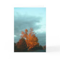 Halloween Sunrise cards